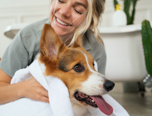 My pets mia and rambo. They are my family