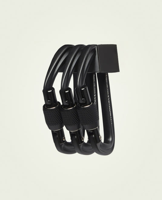 Screwgate carabiner